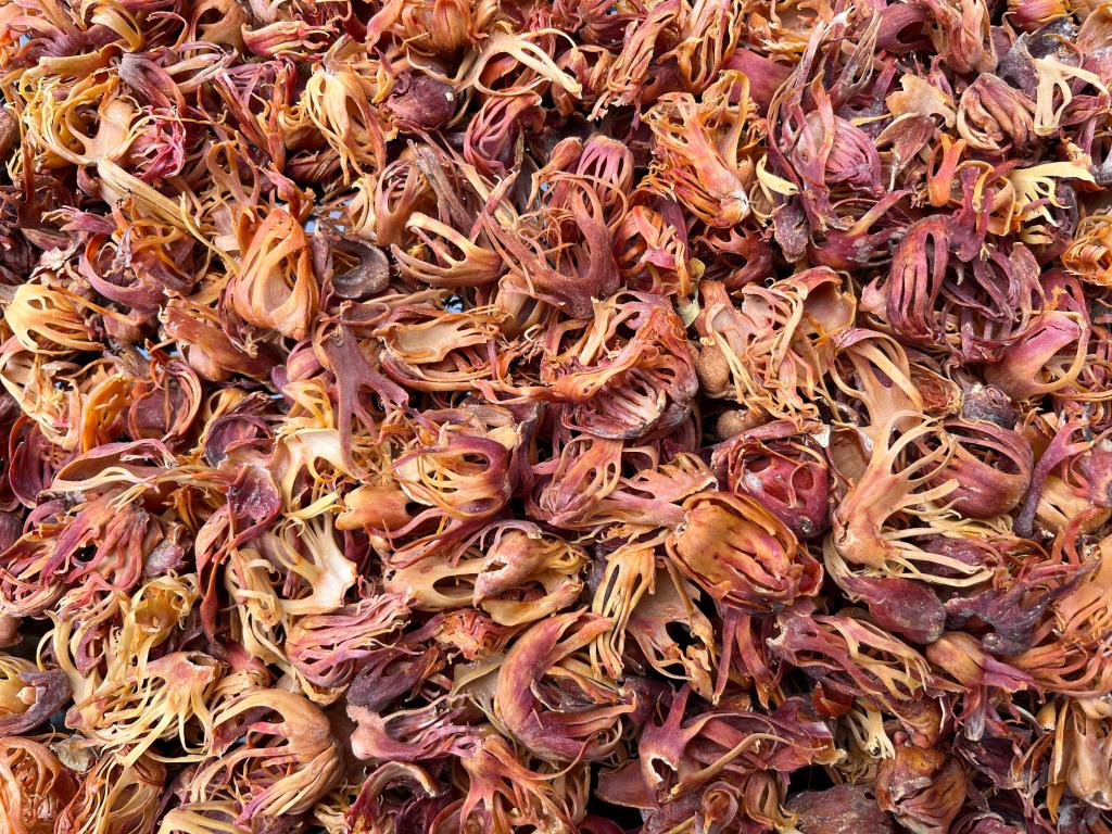 Spice Plantation