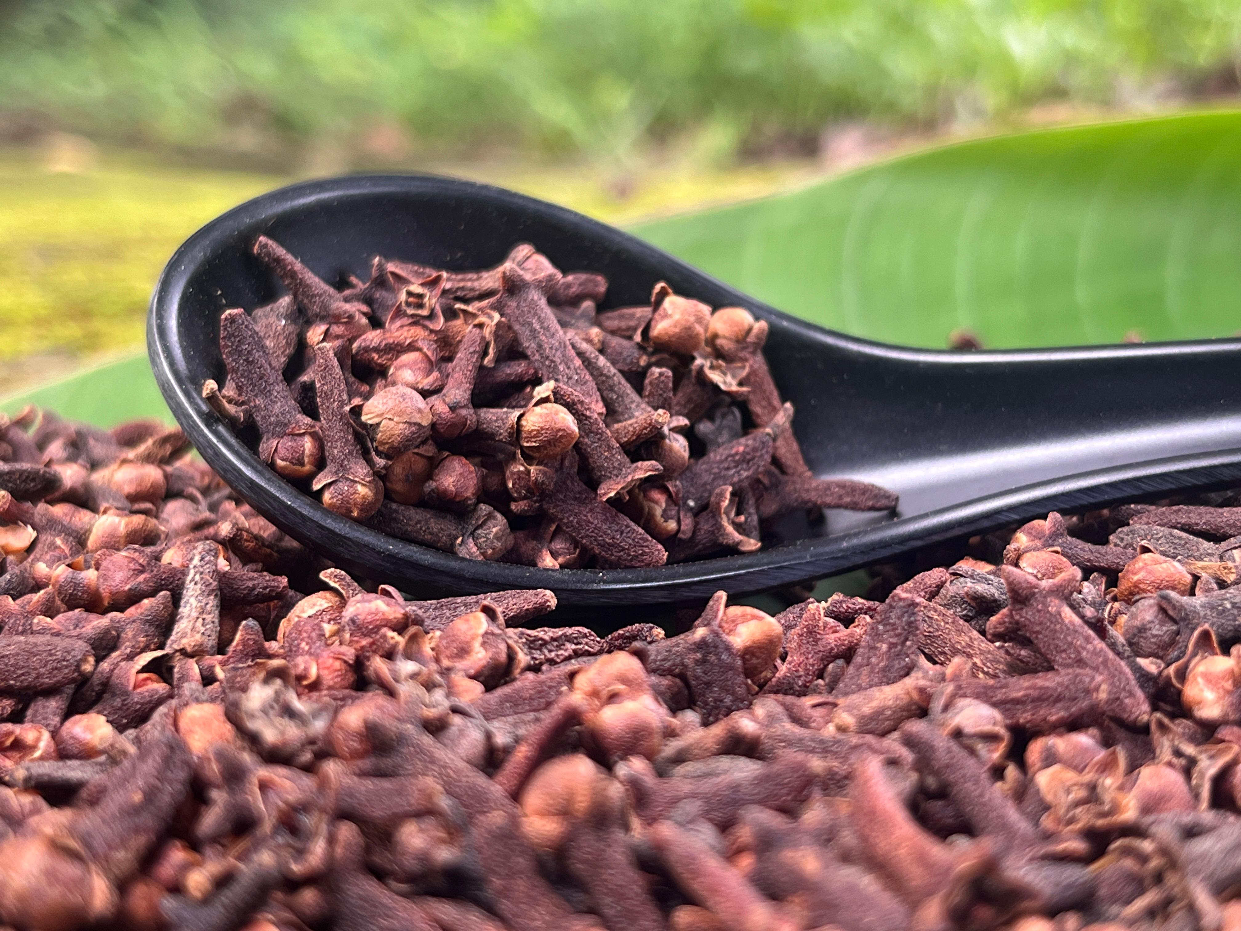 Clove