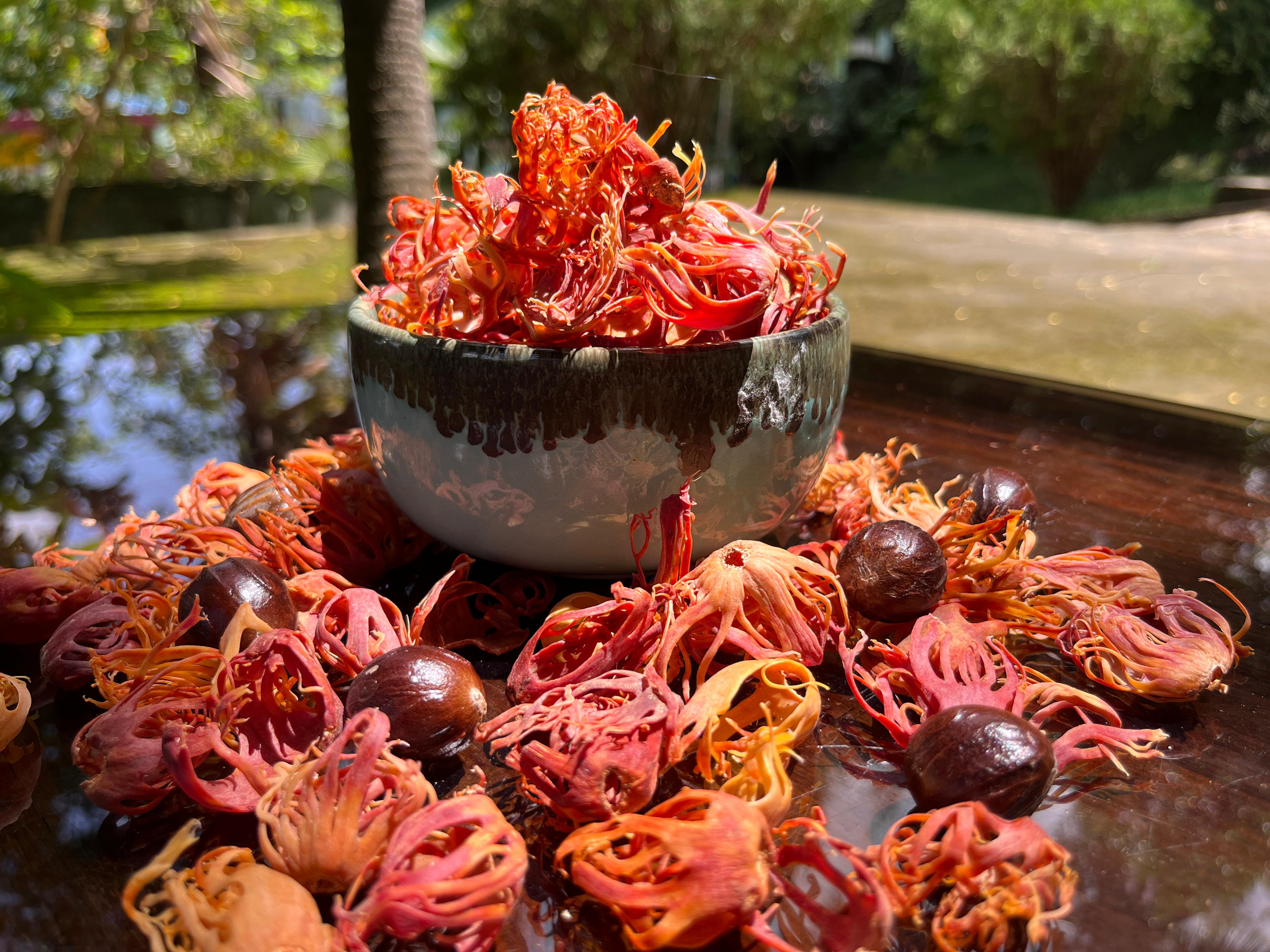 About SPICE PRAVAH